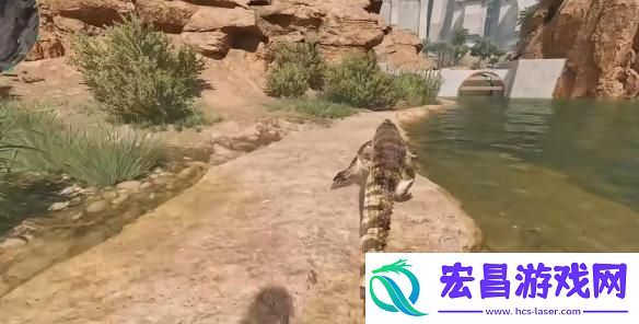 三角洲行动鳄鱼在哪