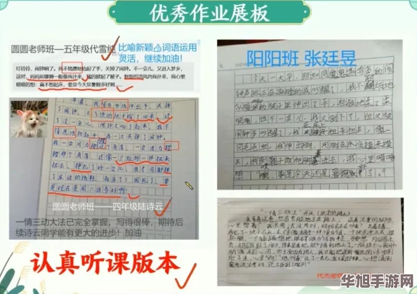 张婉莹暑假作业大全