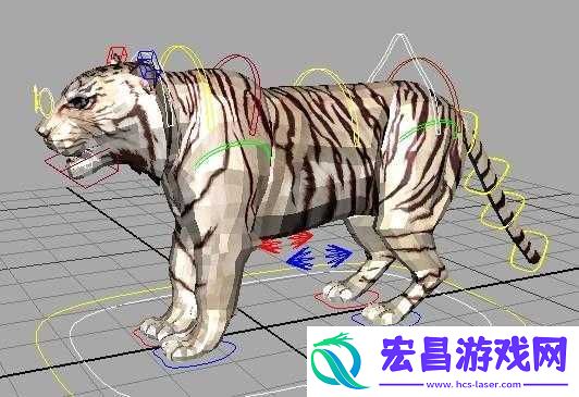 绑定