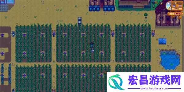 星露谷物语海盗湾进入方法