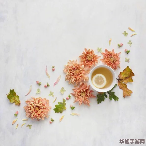 在筱田优番号下用户对她的表演与魅力赞不绝口展现出独特的艺术风格与深厚的粉丝基础