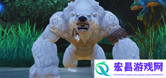 魔兽世界11.0熊德焦点打断宏有哪些