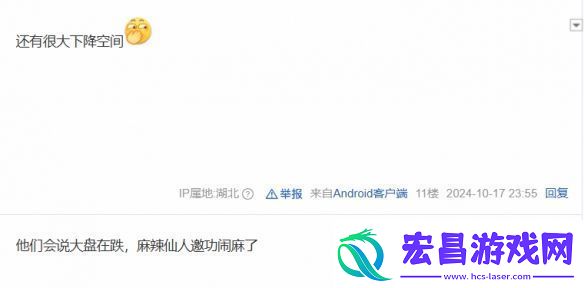 京东股价暴跌引友热议