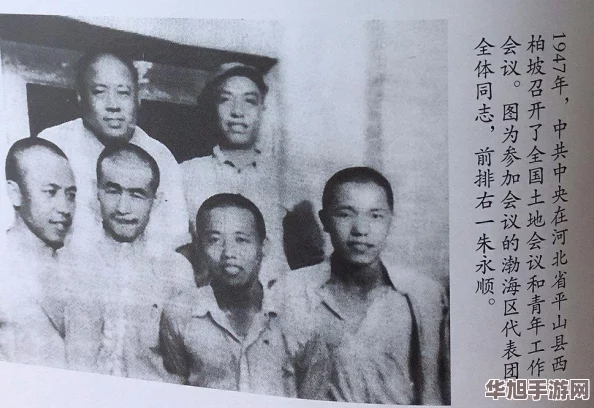 俩人扑克牌生猴子网友直呼“太逗了”