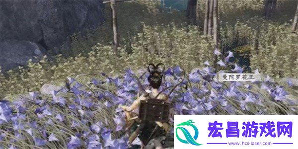 燕云十六声纸人夭奇遇怎么做