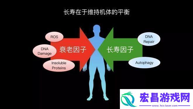 嘘！人类DNA与驴子DNA的神秘纠缠