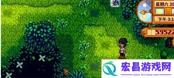 星露谷物语森林解锁方法