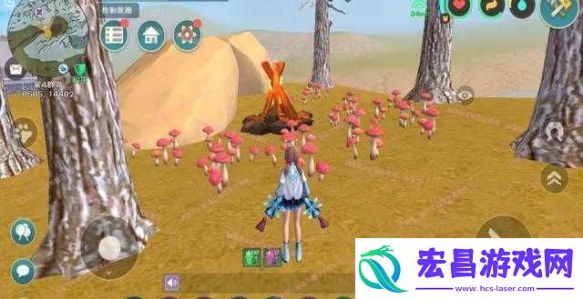 创造与魔法