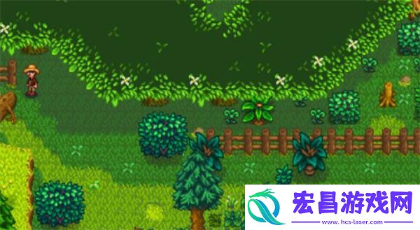 星露谷物语森林解锁方法