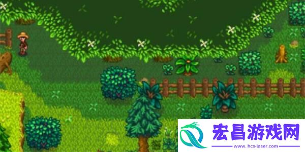 星露谷物语森林解锁方法