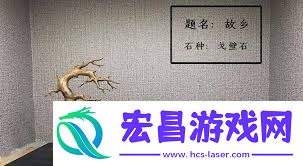 石来运转