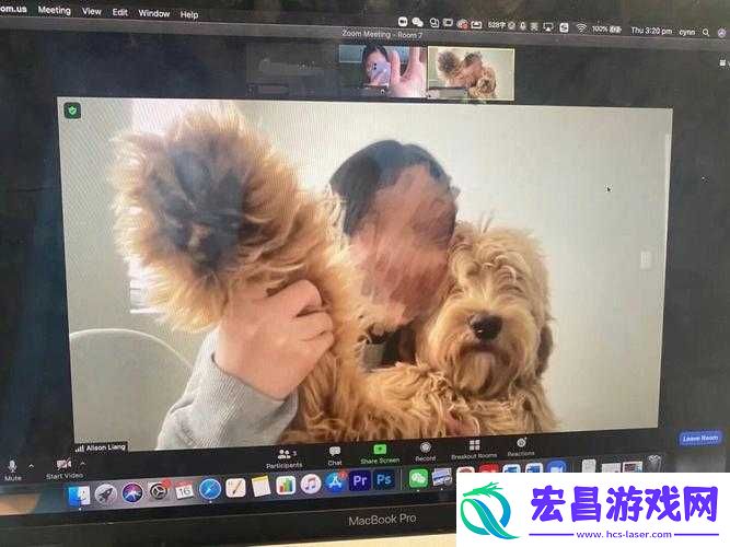 狗