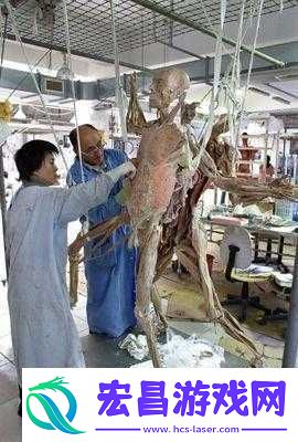 边缘世界中关于尸体的独特处理方式探究