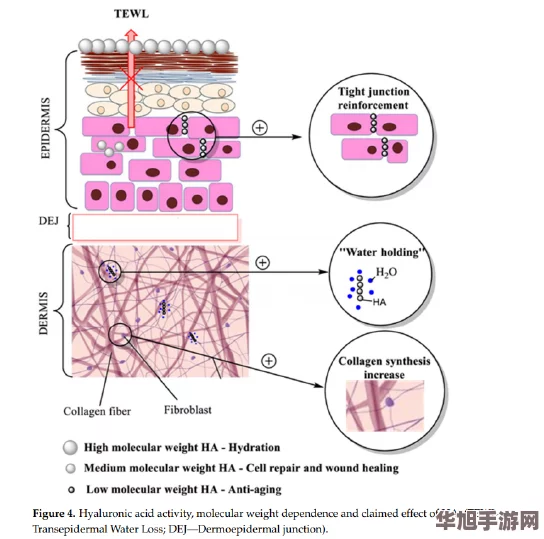 Abw实验4痉挛口吐白沫