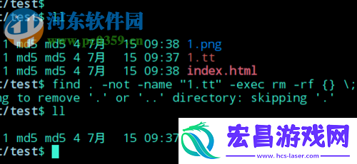 如何使用rm命令删除特定文件