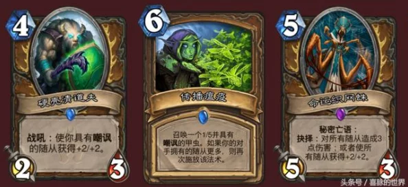 炉石传说竞技巅峰