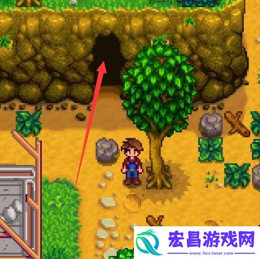 星露谷物语羊肚菌怎么获取