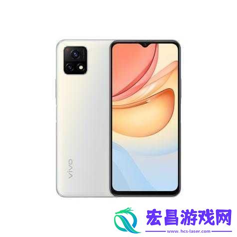 成色好的y31s标准版官