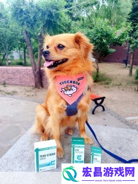 坐在根茎写作业好吗终于重新运营当然可以！以下是一些新的标题建议