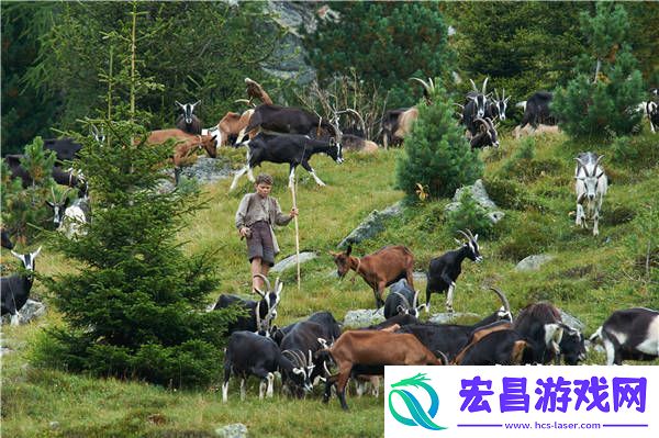 海蒂和**发布口碑特辑