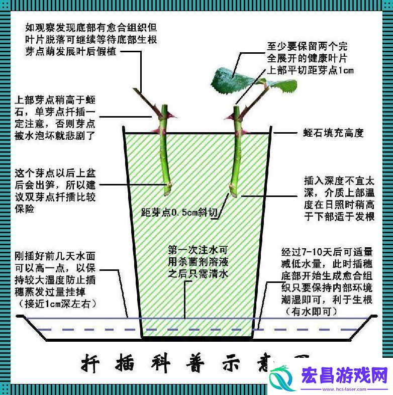 45分钟狂想曲