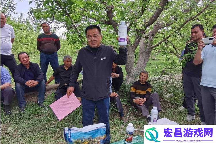 果园丰收培训书获取指南