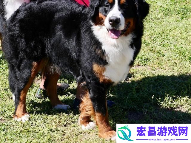 辣眼睛