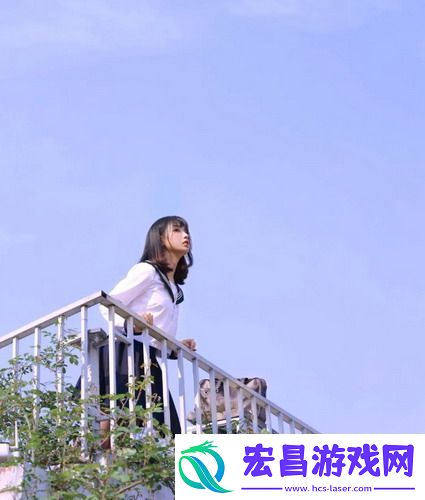 美国人与动物胶配方有几种