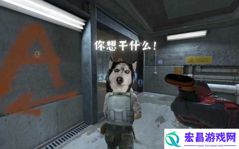 CSGO