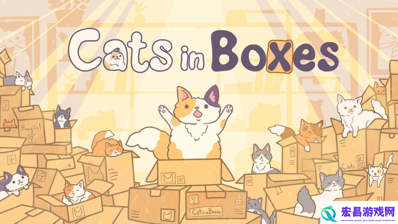 盒中猫丨Cats