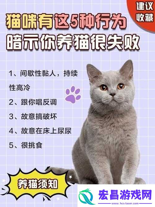 就喜欢听你叫