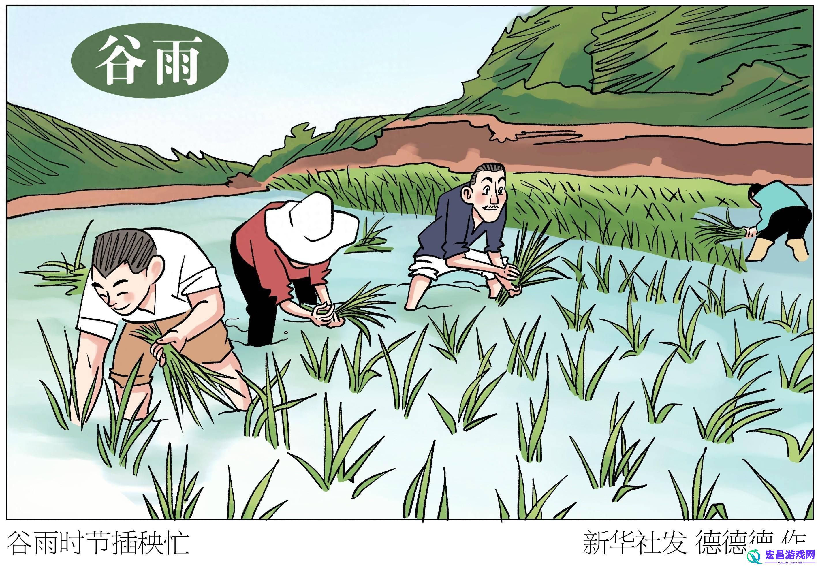 情侣插秧图鉴