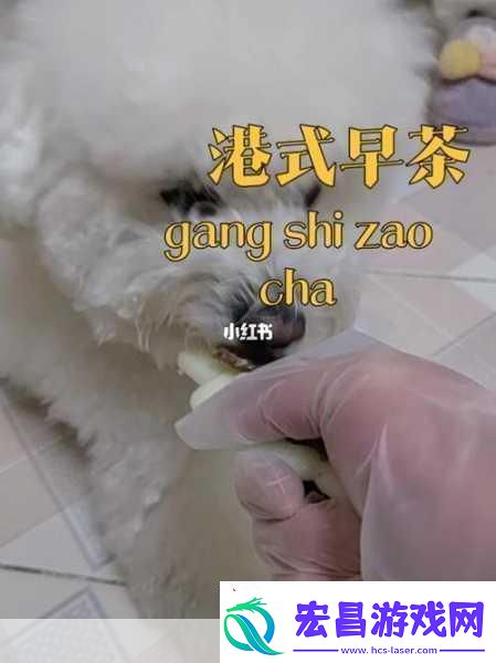 人狗胶配方大全免费天