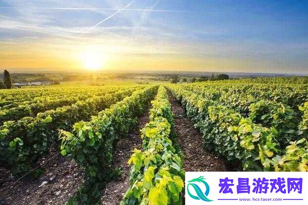欧美精品一产区、二产区