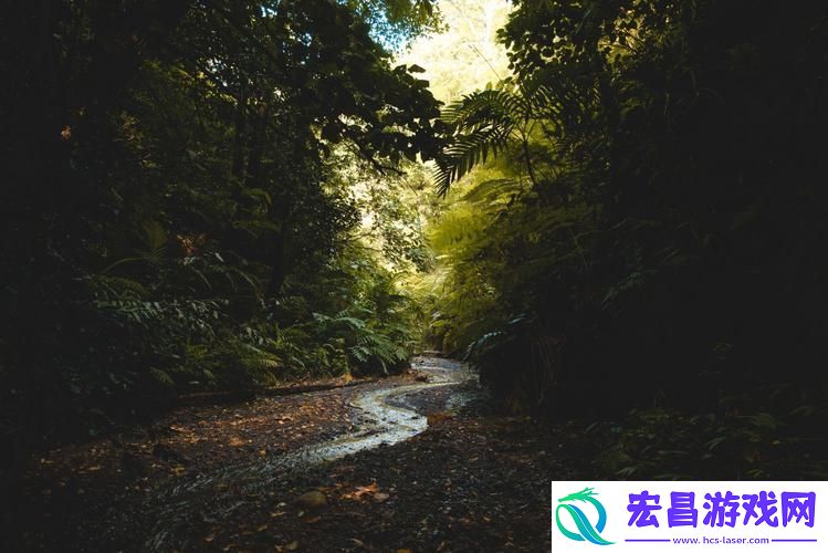 黑色森林的诡秘溪流