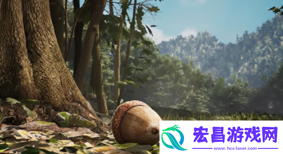 风之王国时隔28年推出续作