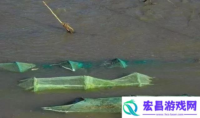 免费下载禁用软件app下载大全