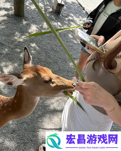 从未体验过的美丽：到底久久久久97国产精华液好用吗？让我们一探究竟！