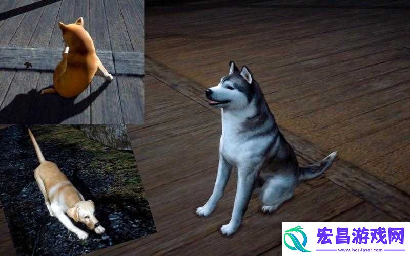 黎明觉醒