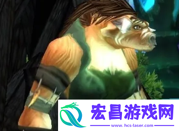 魔兽世界埃霍恩的碎片任务在哪交