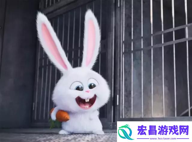 观看音乐老师的兔子弹弹的视频