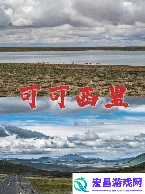 无人区编码6229jm央视
