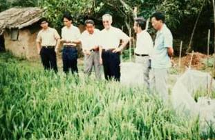 植物进化新纪元