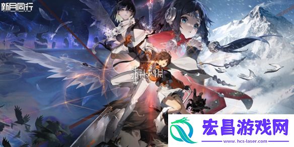 新月同行是哪个公司的