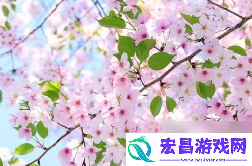 300好感