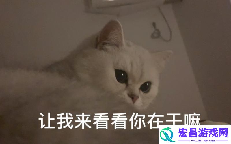 密码密林探幽