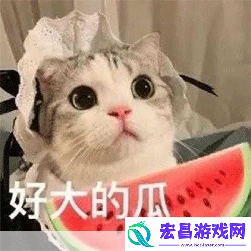 吃瓜t7wcc