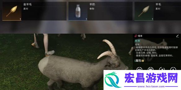 七日世界金羊毛怎么获得