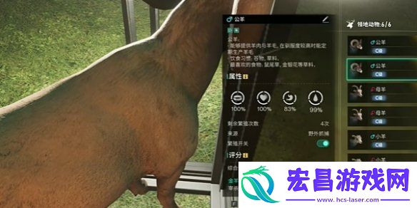 七日世界金羊毛怎么获得