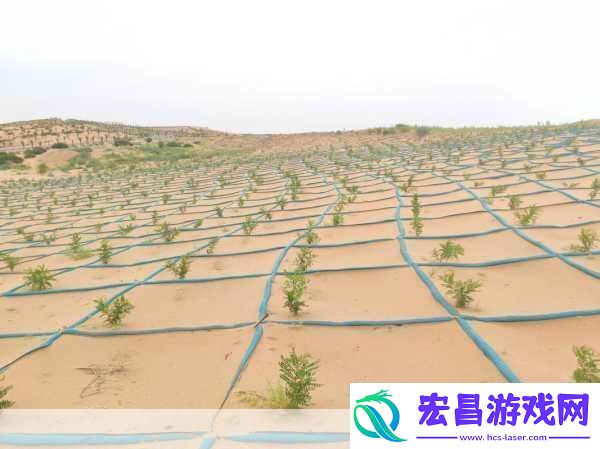 zjy卫生间6分35秒夸克百度